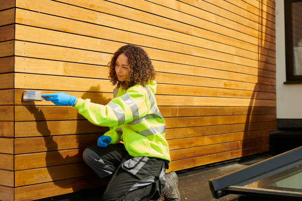Best Fascia and Soffit Installation  in Vassar, MI
